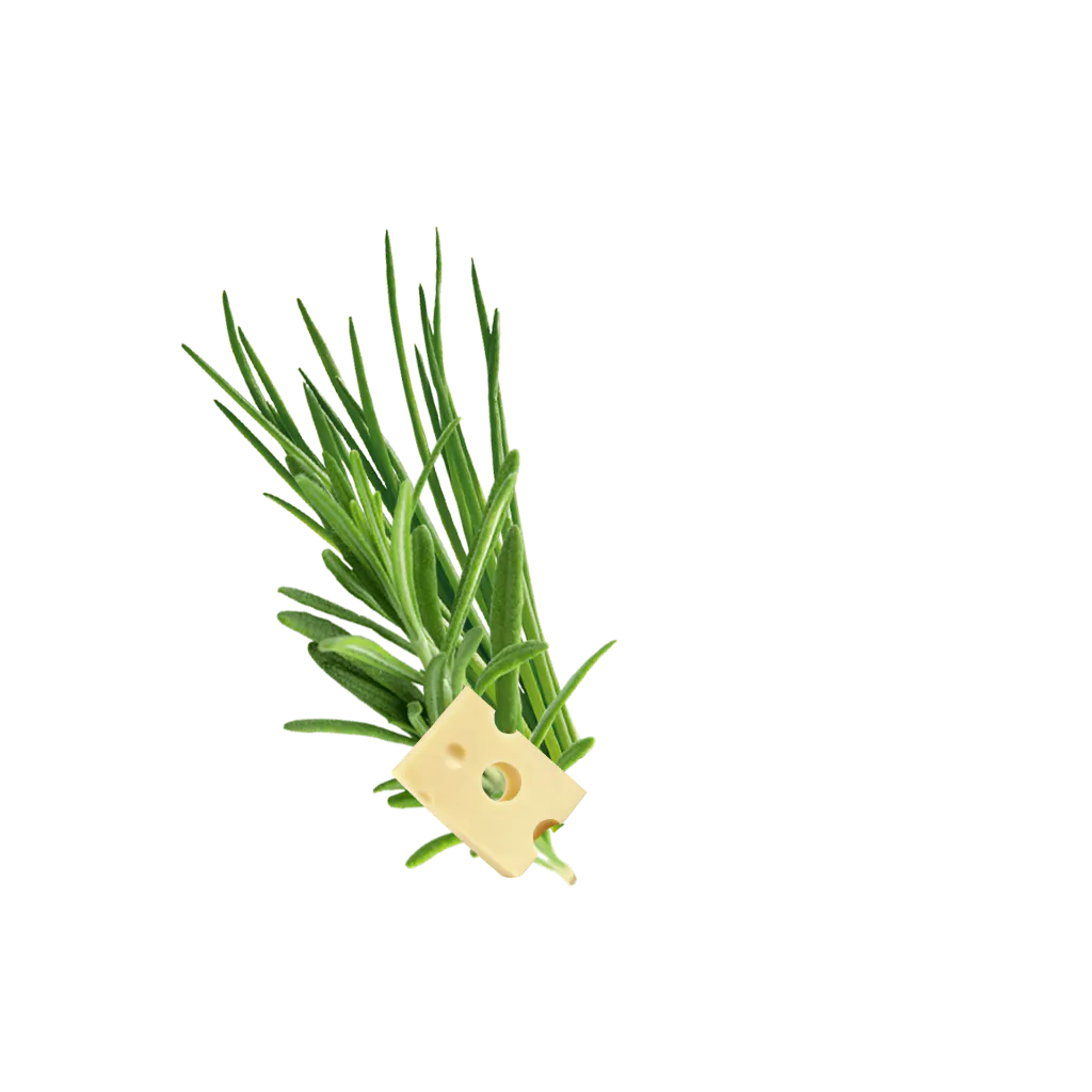 Crispypoh Sir Content 1