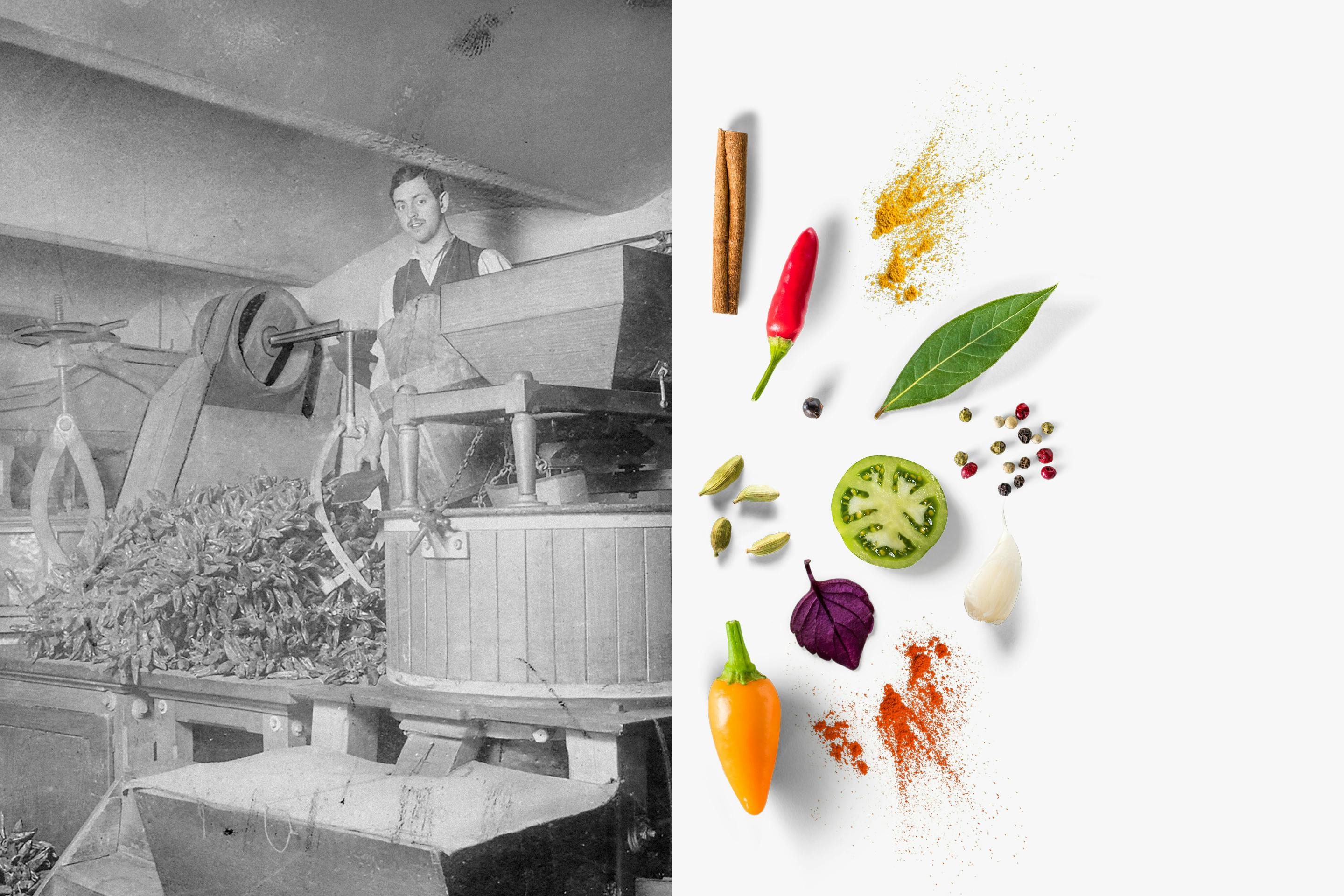 Kotanyi145 Gewinnspielbanner2 Neu